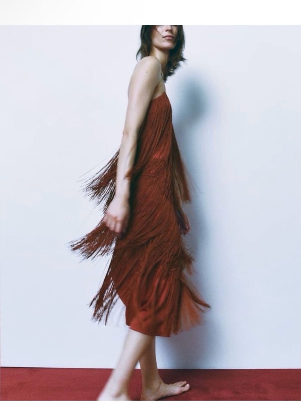 Zara Fringe Dress